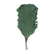 Plumes/Hackles